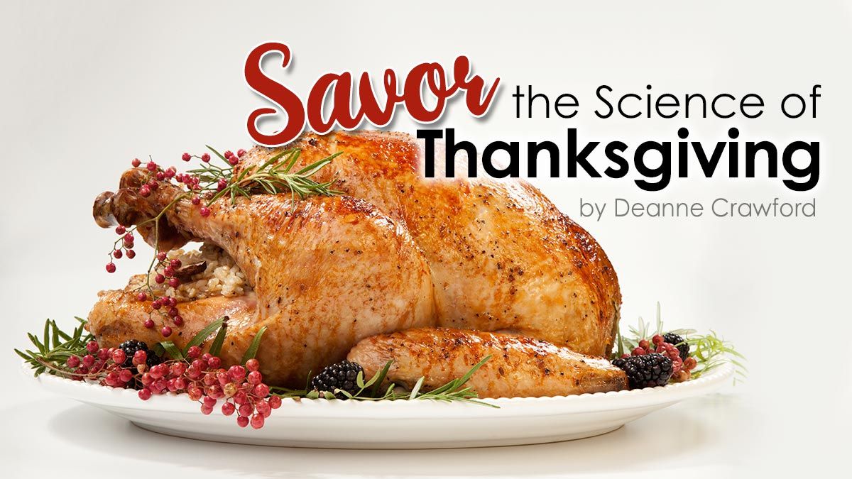 Savor the Science of Thanksgiving