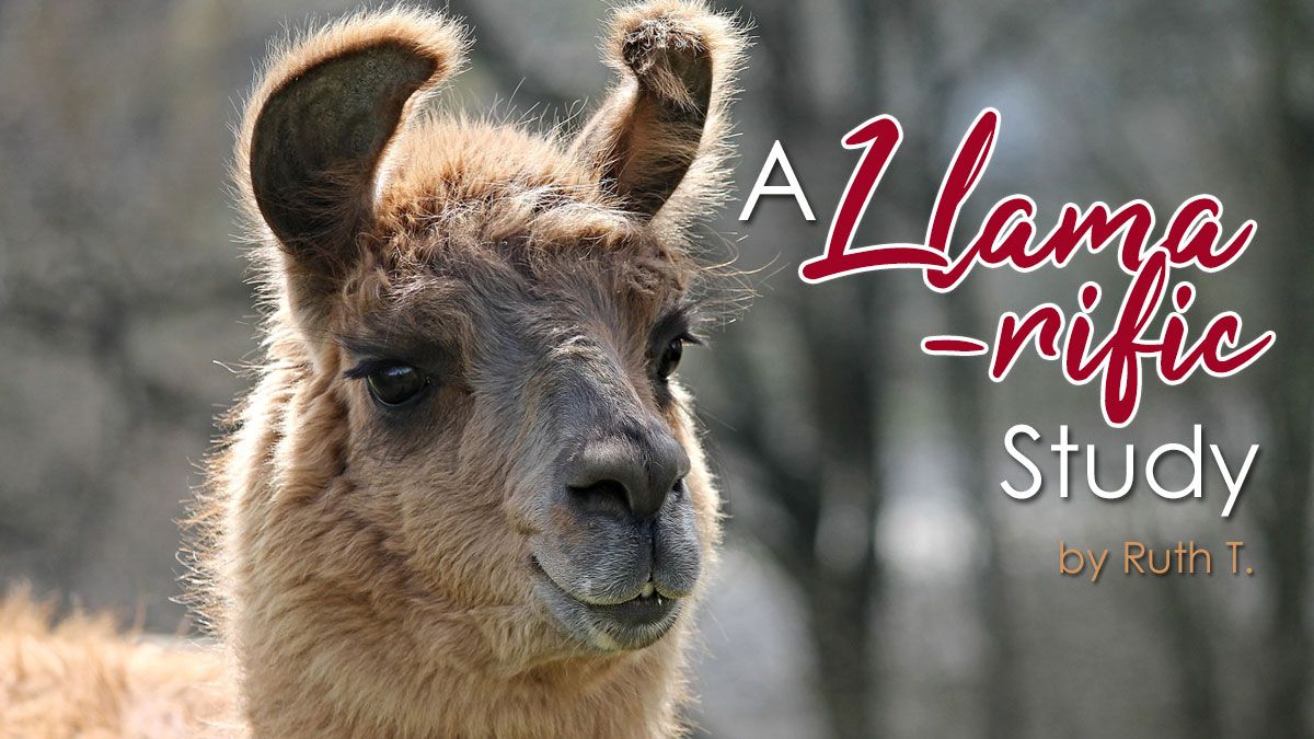 A Llama-rific Unit Study