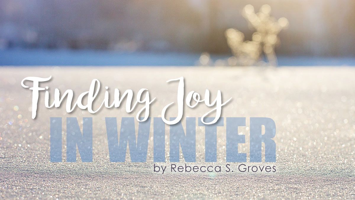 Finding Joy in Winter