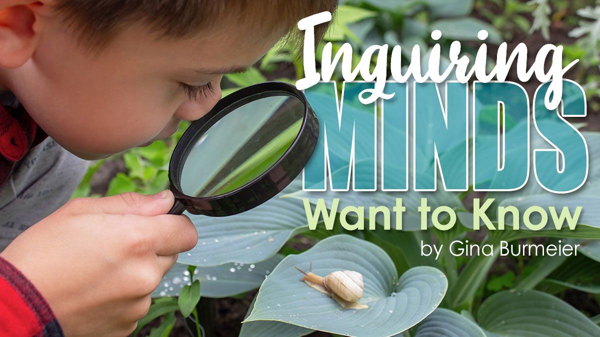 Inquiring Minds Want to Know