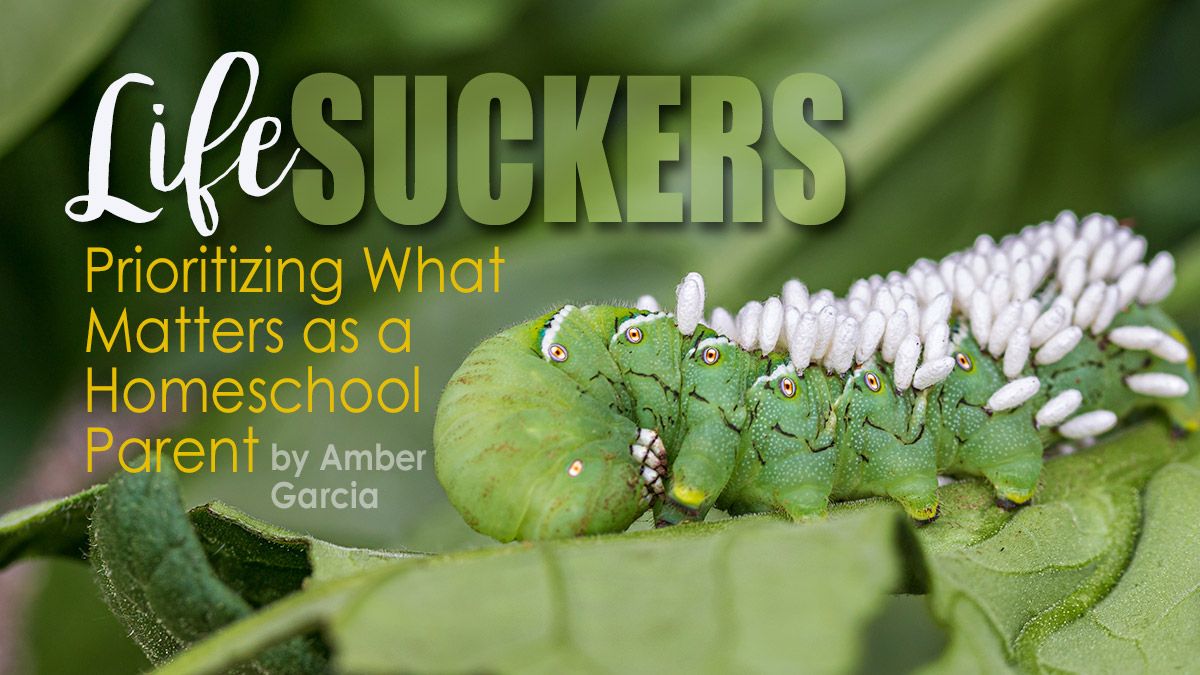 Life Suckers: Prioritizing What Matters as a Homeschool Parent by Amber Garcia