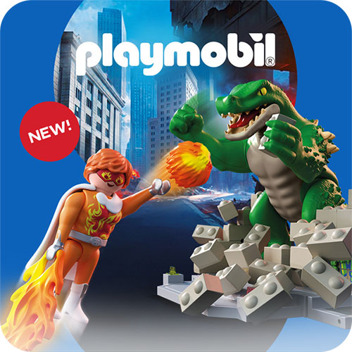 Playmobil Heroes